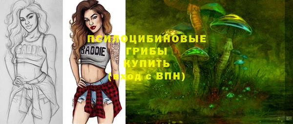 спайс Абинск