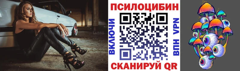 Галлюциногенные грибы Psilocybe Истра